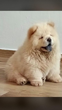 Casper